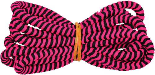 Eduplay Springseil Regenbogen mit weichen Griffen 5 Meter Spielzeug-2