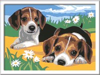 Ravensburger schilderen op nummer Beagle puppies - Creatief speelgoed-2