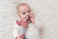 Mom's Care baby bijtspeeltje Jami hond roze met rammelaar en labels-2