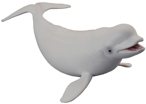 COLLECTA Witte Walvis - (L)