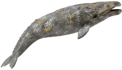 COLLECTA Grijze Walvis - (XL)