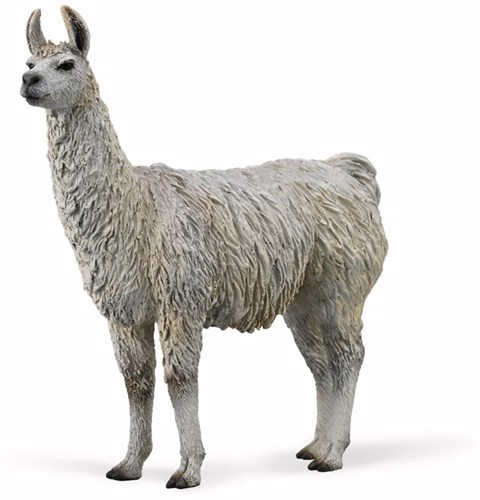 COLLECTA Lama - (M)