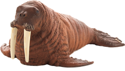 Mojo Sealife speelgoed Walrus - 387209