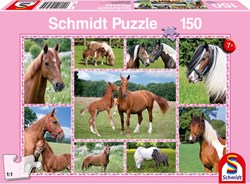 Schmidt puzzel Prachtige Paarden - 150 stukjes - paardenpuzzel voor kinderen