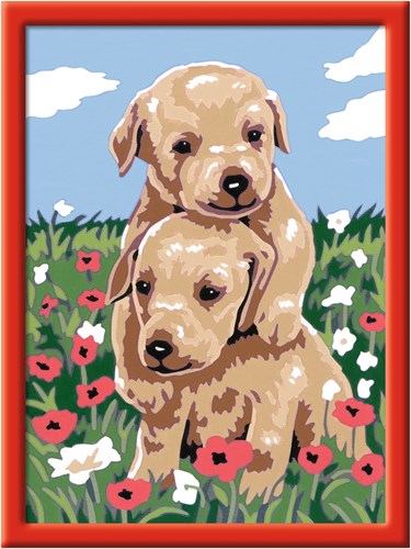 Ravensburger schilderen op nummer knuffelende puppies schilderpakket-2
