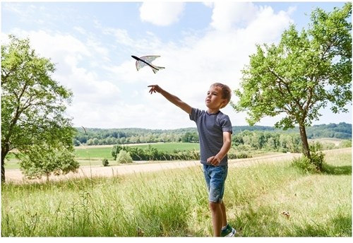 Haba Katapultflugzeug Terra Kids - Outdoor Spielzeug Flugzeug für Kinder-3