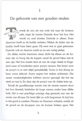 Kluitman Pferdebuch Aurea das wilde Pony - Kinderbuch Abenteuer-3