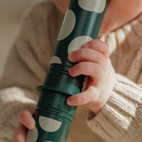 Modu sensorisch speelgoed rammelstaven - kleurrijke rattle pegs set-2