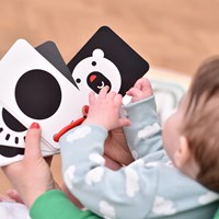 Banana Panda Banana Panda 10 Hoog Contrast Kijk en Voel Babyboek Kaarten met 20 afbeeldingen / Zwart Wit Baby Speelgoed Boekje vanaf 0 maanden - 9x14cm-3