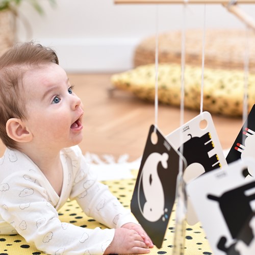 Banana Panda 10 Hoog Contrast Kijk en Voel Babyboek Kaarten met 20 afbeeldingen / Zwart Wit Baby Speelgoed Boekje vanaf 0 maanden - 9x14cm-3