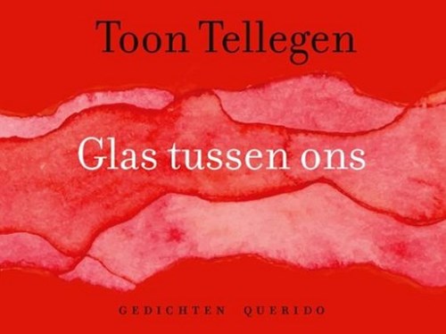 Kinderboeken poëzieboek Glas tussen ons - Toon Tellegen, paperback