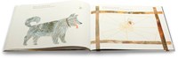 Gottmer Pappbuch Die fleißige Spinne 3+ Fühlbuch-3