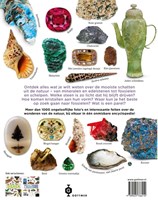 Gottmer natuur encyclopedie stenen fossielen mineralen schelpen 8+ boek-2