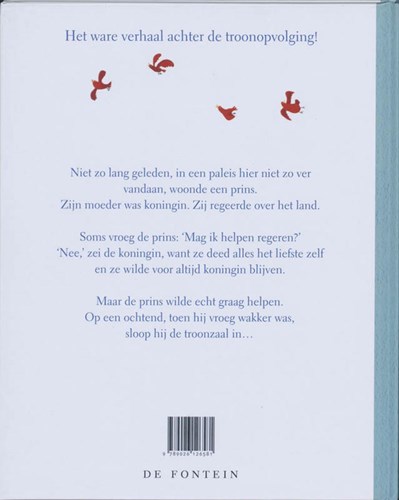 De Fontein prentenboek De prins en de puinhoop - kinderboek 4+-2