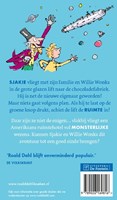 De Fontein kinderboek Sjakie en de grote glazen lift avontuur-2