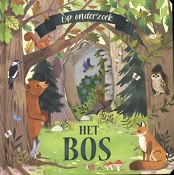 Rebo Kinderbuch Wald entdecken Klappen interaktiv Natur Tiere