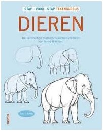 Deltas Zeichenkurs Tiere - Schritt für Schritt Zeichnen für Kinder