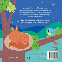Deltas Kinderbuch Schlaf gut träum süß Filzklappen Buch-2
