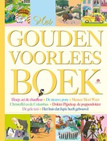 Rubinstein kinderboek Het Gouden voorleesboek 3+ hardcover verhalen