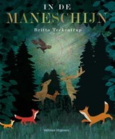 Veltman Kinderbuch In de maneschijn Mond lernen Pappbuch