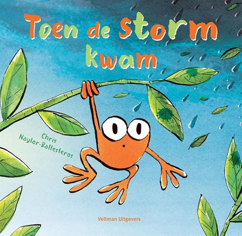 Veltman prentenboek Toen de storm kwam - kinderboek avontuur