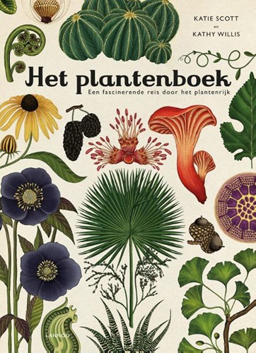 Terra Lannoo Pflanzenbuch lehrreiches Hardcover für Kinder ab 8 Jahren
