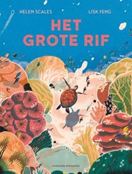 Fontaine Kinderbuch Das große Riff - Entdecke das Korallenriff Abenteuer