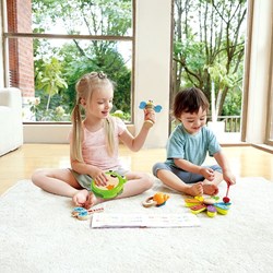 Hape muziekinstrumentenset Nature Band Rhythm Kit voor kinderen