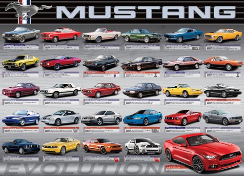 Eurographics Puzzle Ford Mustang Evolution - 1000 Teile Puzzle