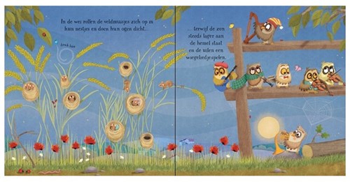 Usborne muziekboek slaapgeluiden voor baby's en peuters 0+-3