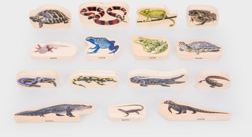 TickiT houten reptielen- en amfibieënblokken educatief speelgoed set 15 stuks