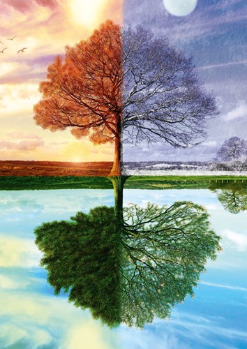 Schmidt Puzzle The Seasons Tree - 500 Teile - Landschafts-Puzzle