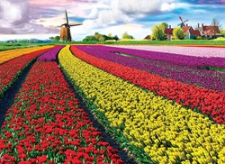 Eurographics puzzel bloemen Tulip Fields Netherlands - 1000 stukjes