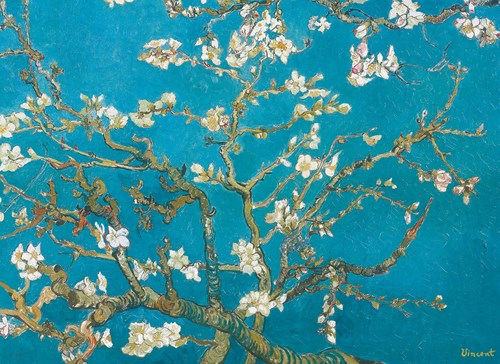 Eurographics Puzzle Kunst Van Gogh Mandelblüte 1000 Teile