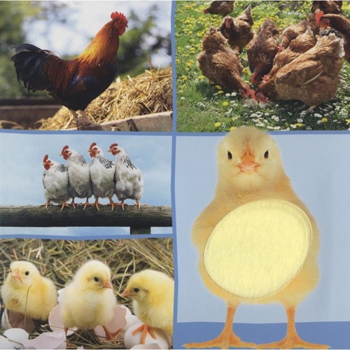 Veltman Soundbuch Bauernhoftiere interaktives Fühlbuch 1+-3