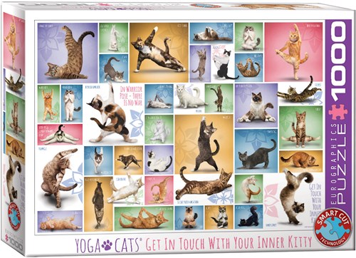 Eurographics puzzel Yoga Cats - legpuzzel katten 1000 stukjes-2